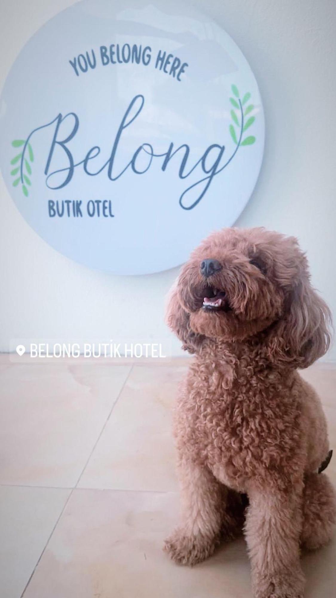 Belong Butik Otel Çeşme Luaran gambar